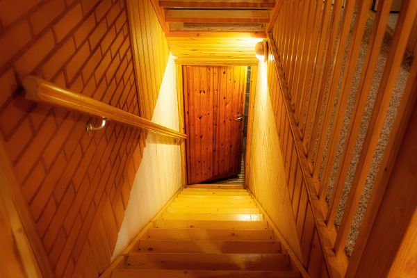Basement Door Repair